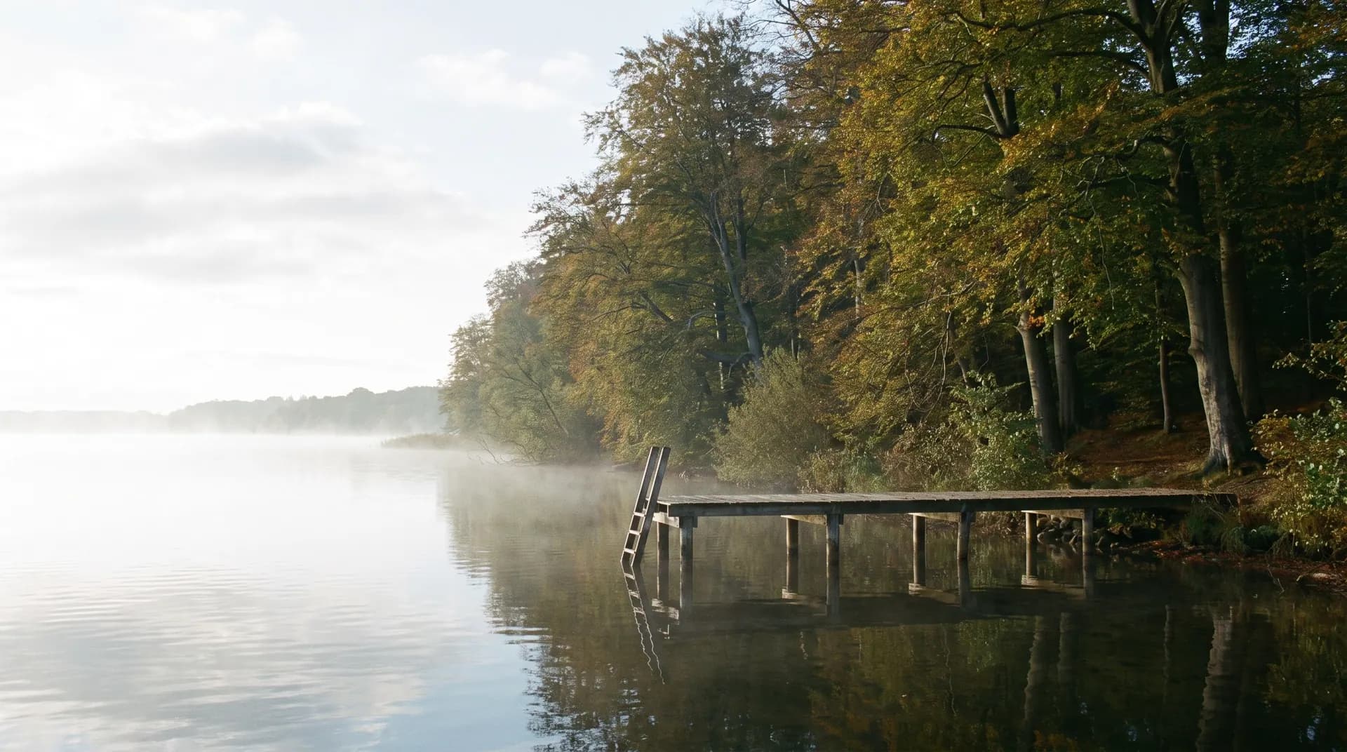 Badebro ved Furesø med bøgeskov langs bredden og stille vand i morgenlys