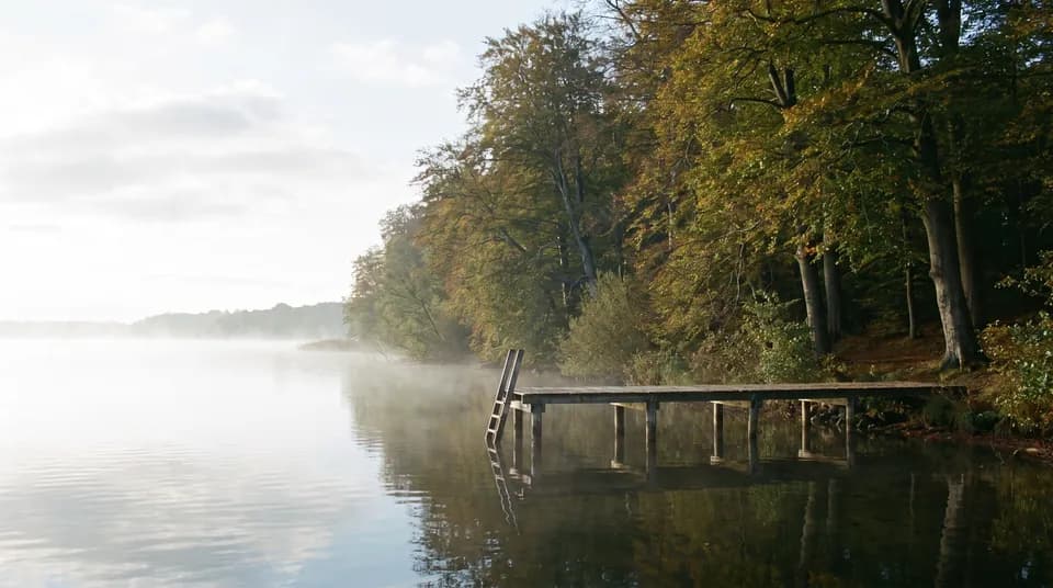 Badebro ved Furesø med bøgeskov langs bredden og stille vand i morgenlys